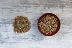 SOYULMUŞ ARPA