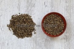 KENEVİR TOHUMU (KENDİR)