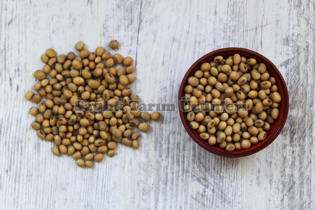 SOYA FASULYESİ