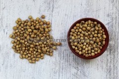 SOYA FASULYESİ