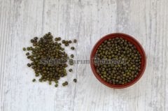 MAŞ FASULYESİ