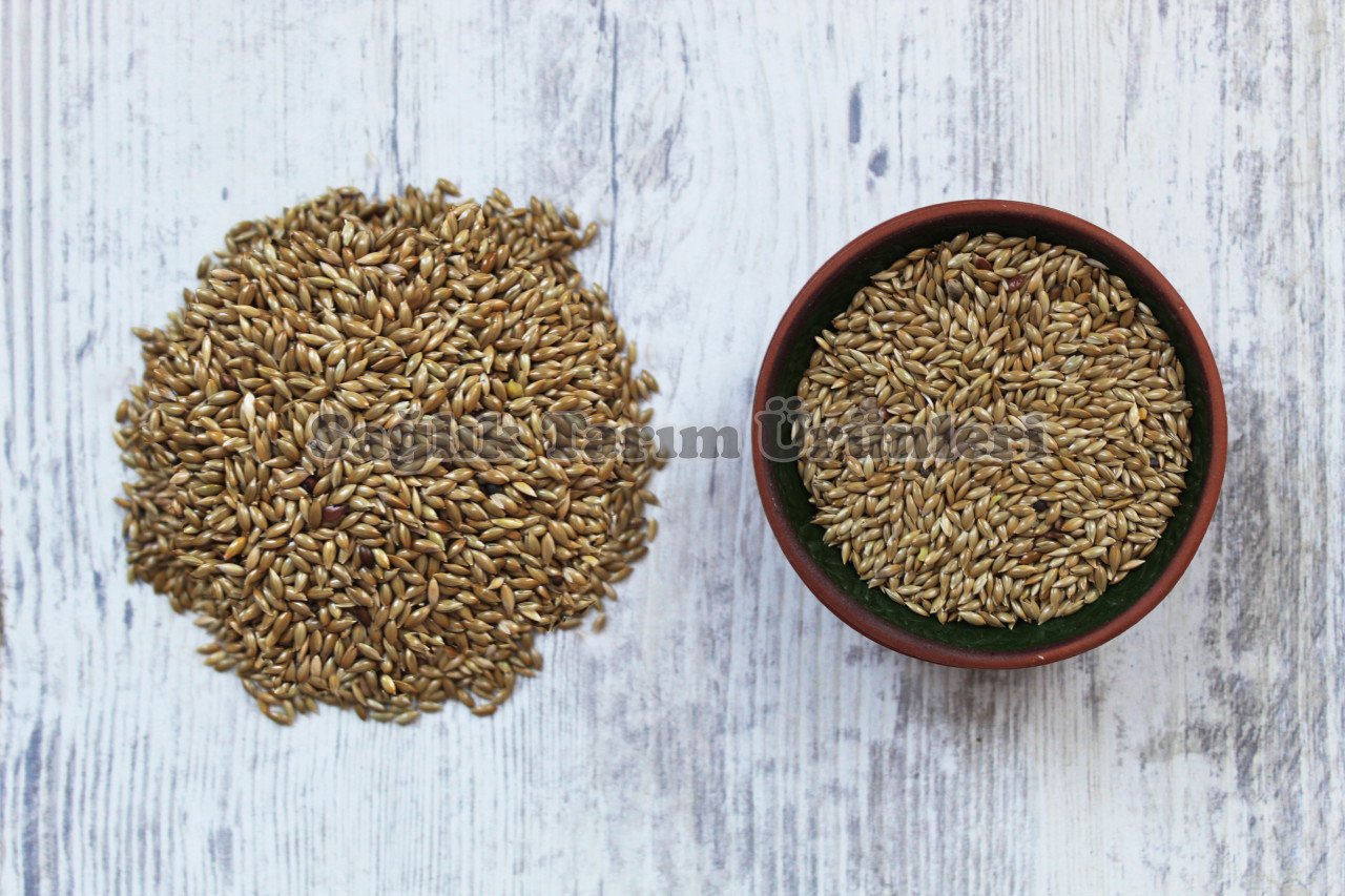 KANARYA YEMİ (ASPUR)