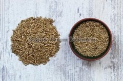 KANARYA YEMİ (ASPUR)