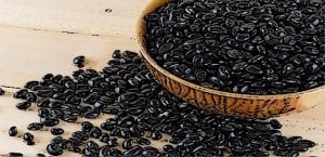 SİYAH FASULYE GLUTENSİZ